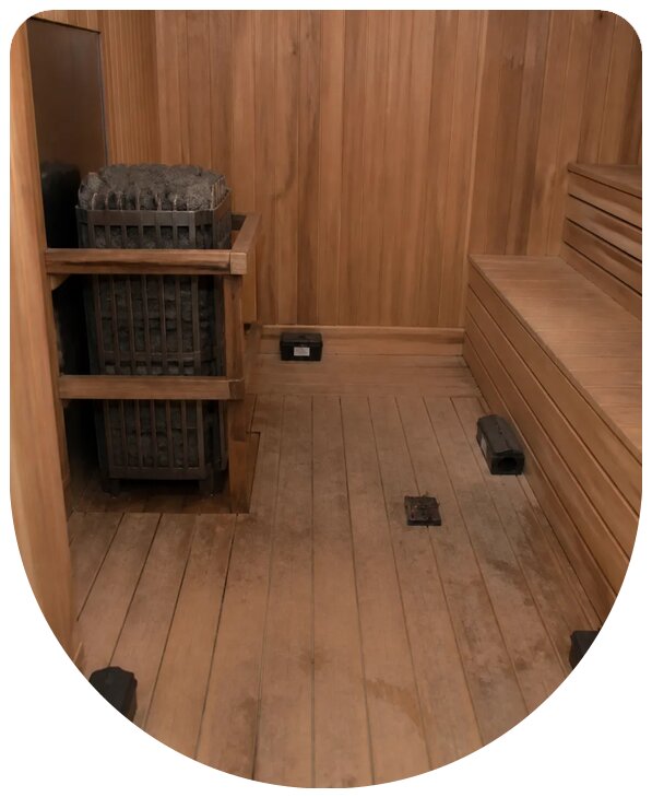 Профессиональная дератизация сауны в Орехове-Зуеве с гарантией